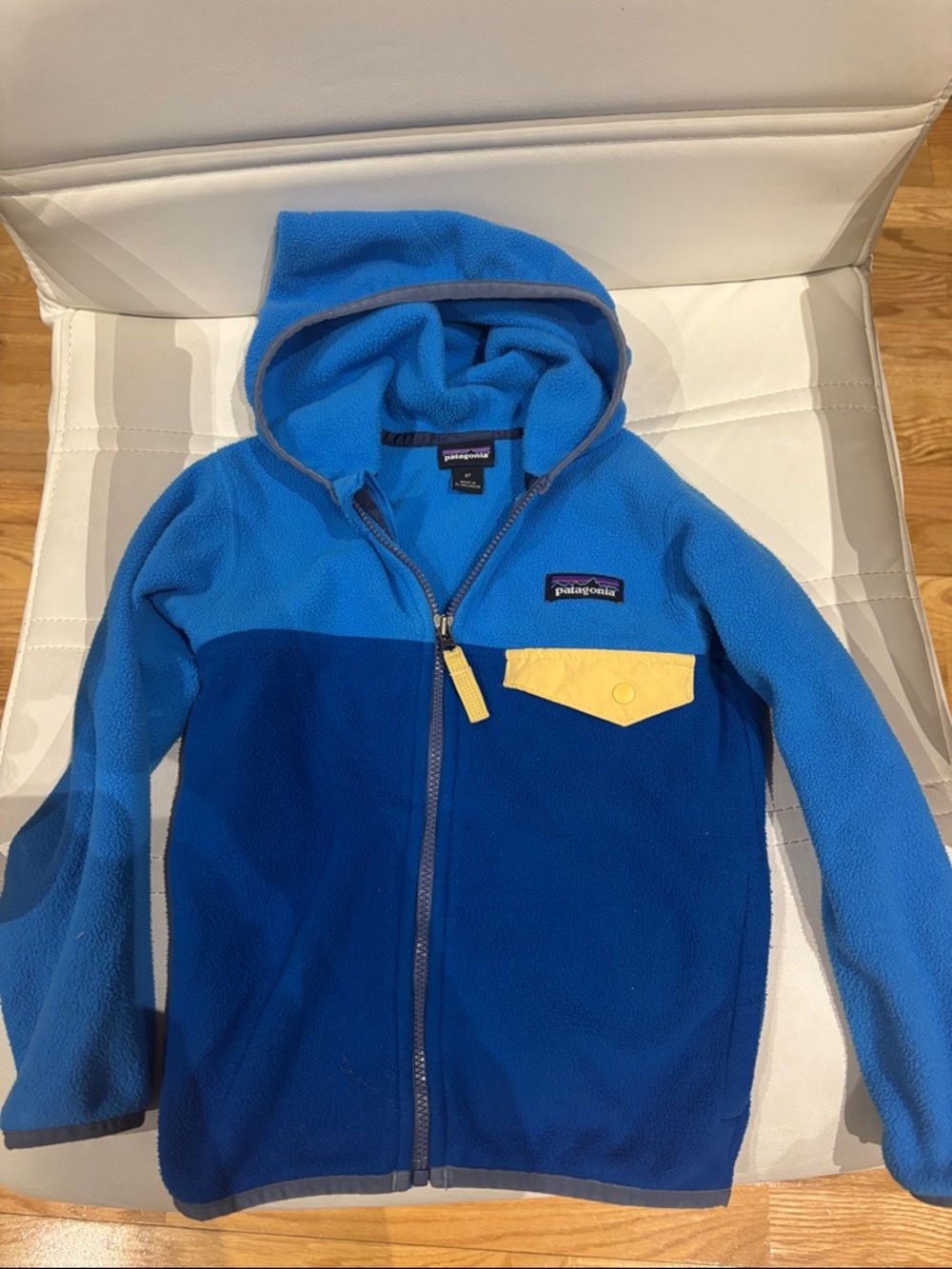 Patagonia Micro Hooded Fleece